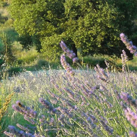 Bed & Breakfast Le Fontanelle Ancona